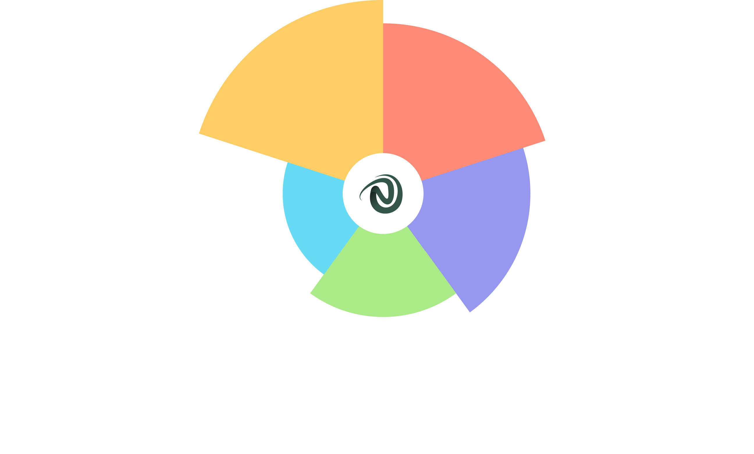 Layer